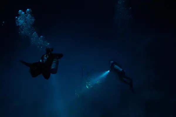 night diving
