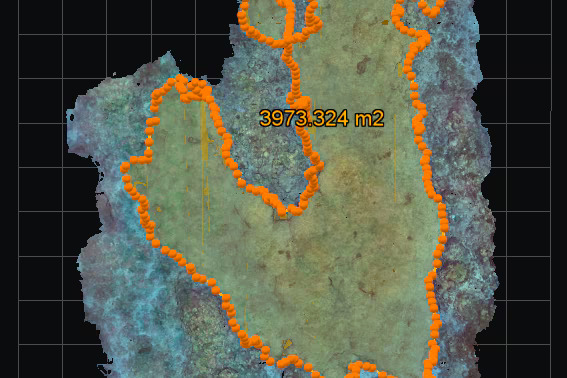 Measurements reveal the coral is 111m long and 60m wide, about the area of a soccer field