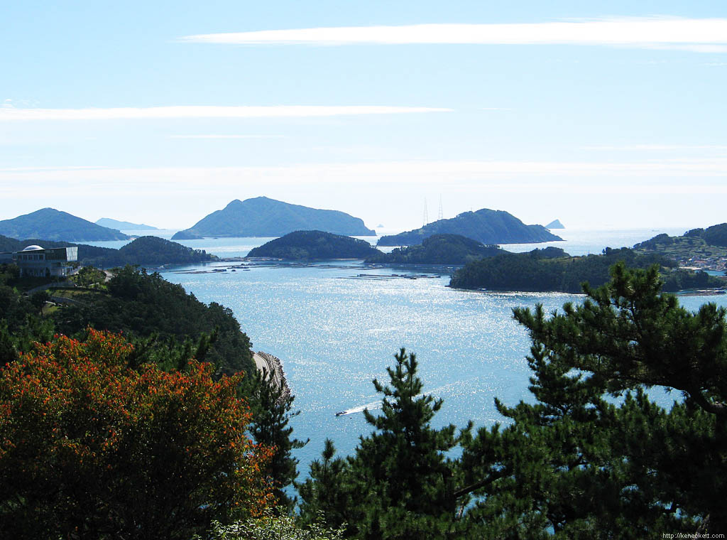 Lost at Sea for 12 Hours: Diver Found Alive Off South Korea