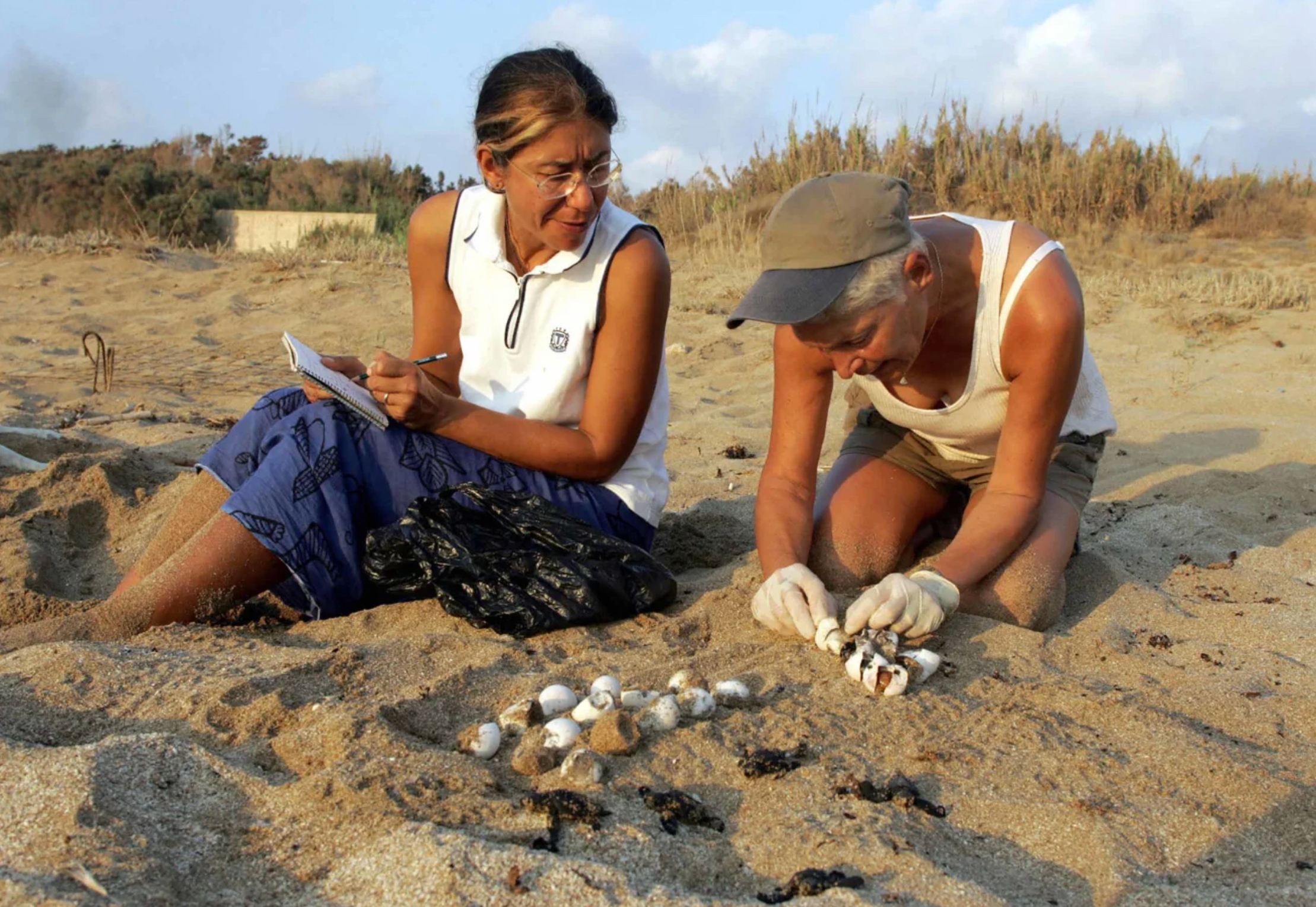 ‘Guardian of the Turtles’ Killed in Israeli Air Strike