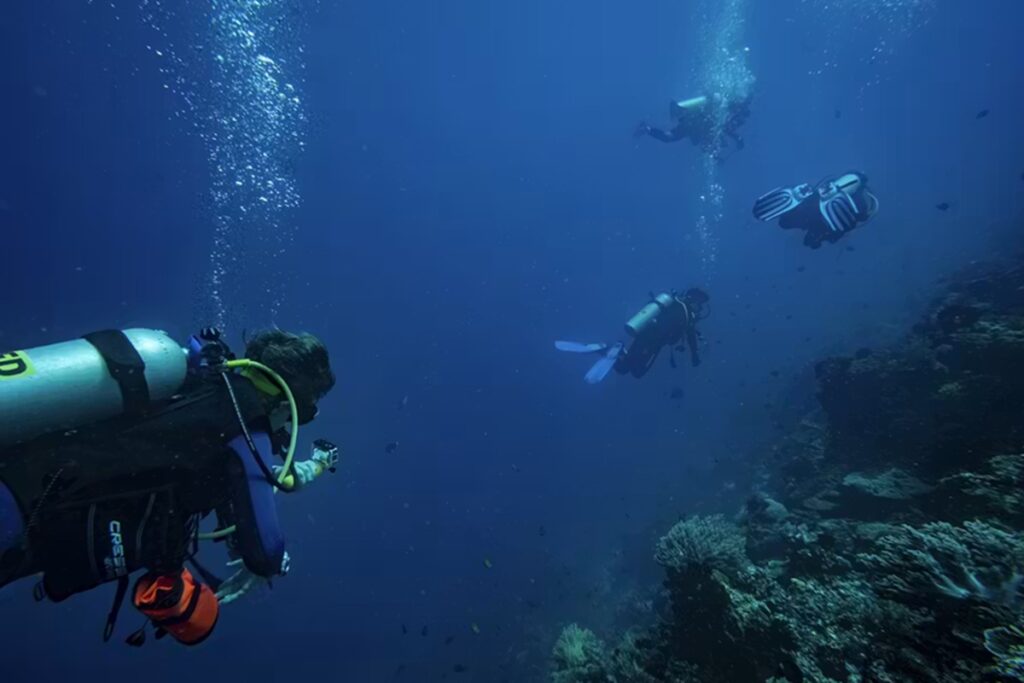 A researcher following scuba divers for this project. Bing Lin
