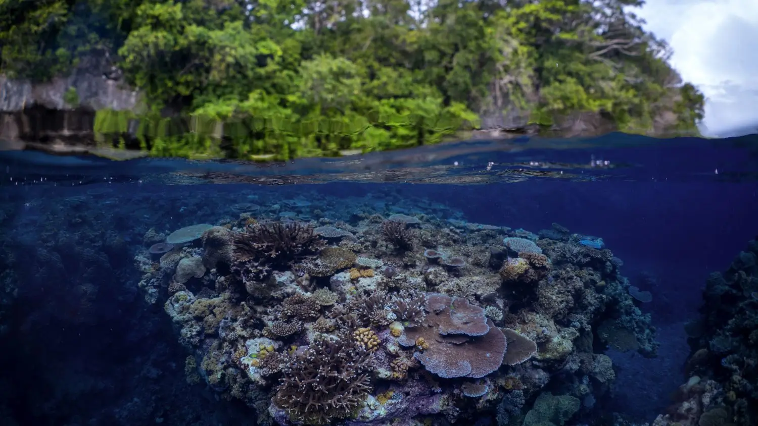 darwin arch underwater