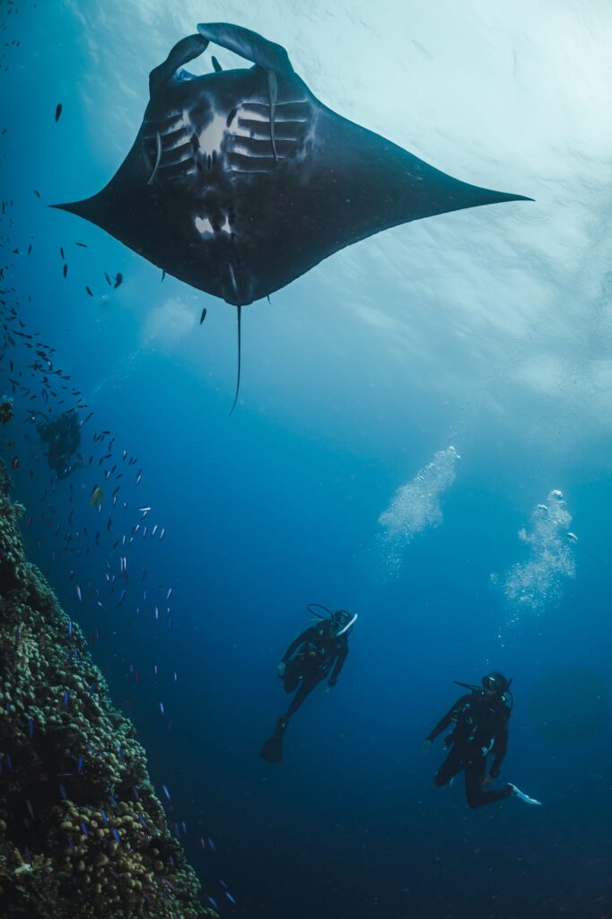 Ishigaki, Japan