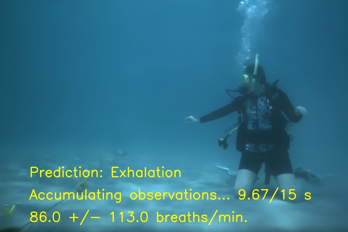 New AI System Reads Divers’ Bubbles to Estimate Breathing Rate