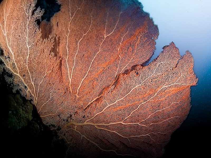 Rocky Island 05