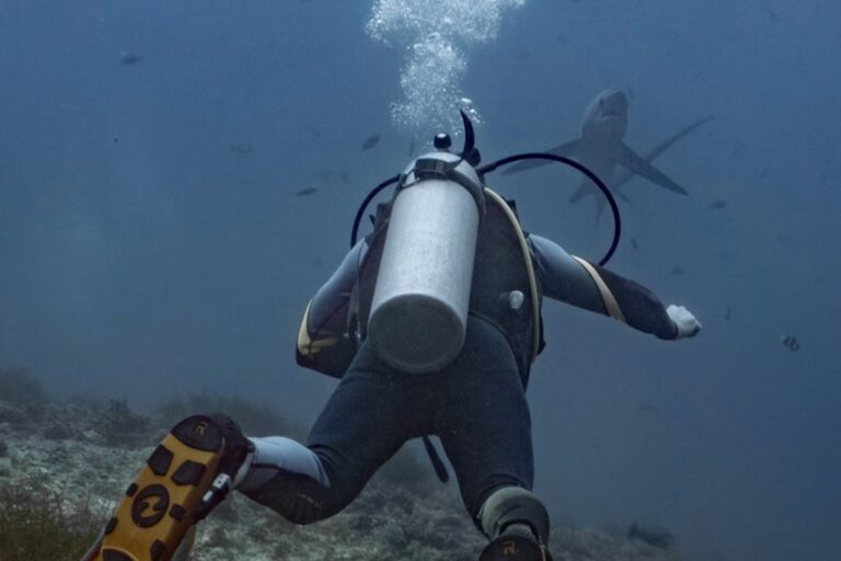 Scuba Divers Underestimate Their Impact on Coral Reefs, New Study Finds