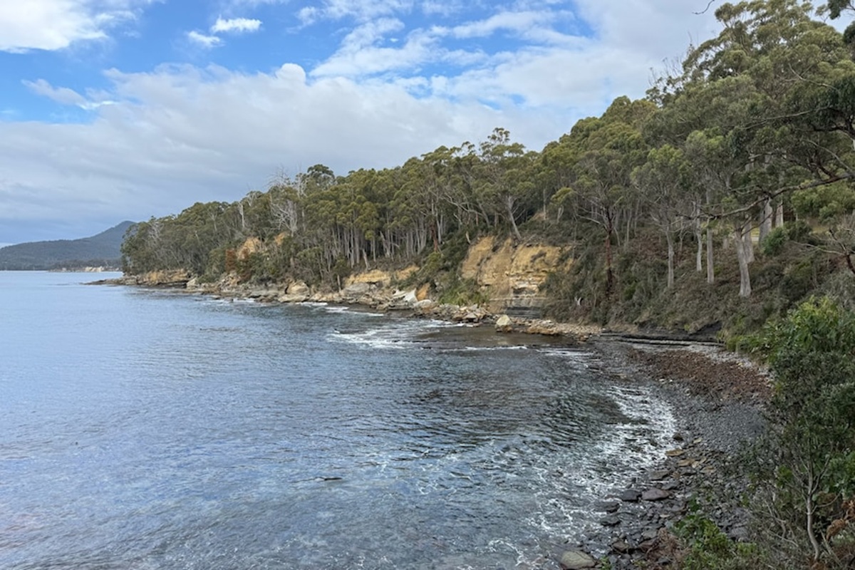A Diver Bitten Off Bruny Island: What Happened at Coal Point