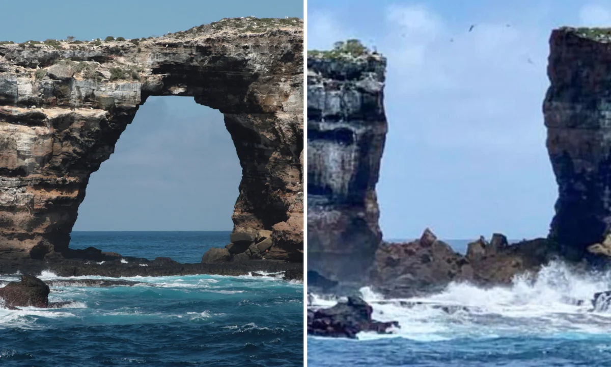 darwin arch before and after pillars of evolution
