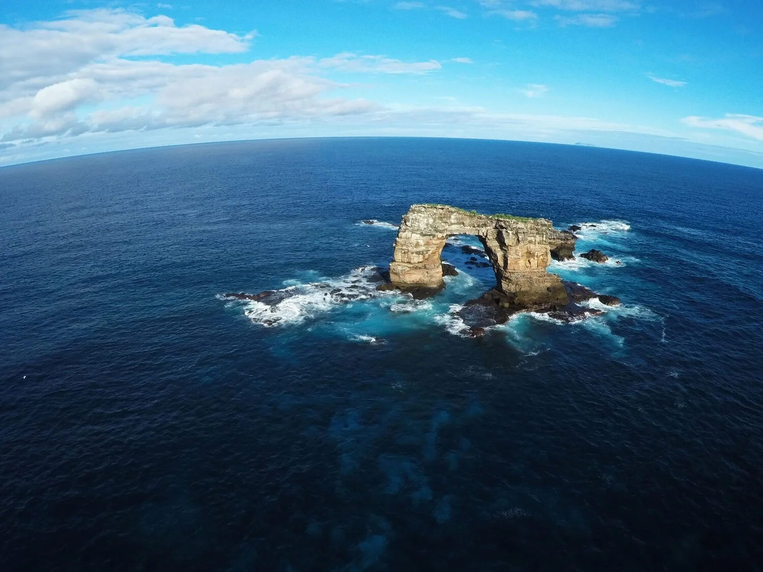 darwin arch