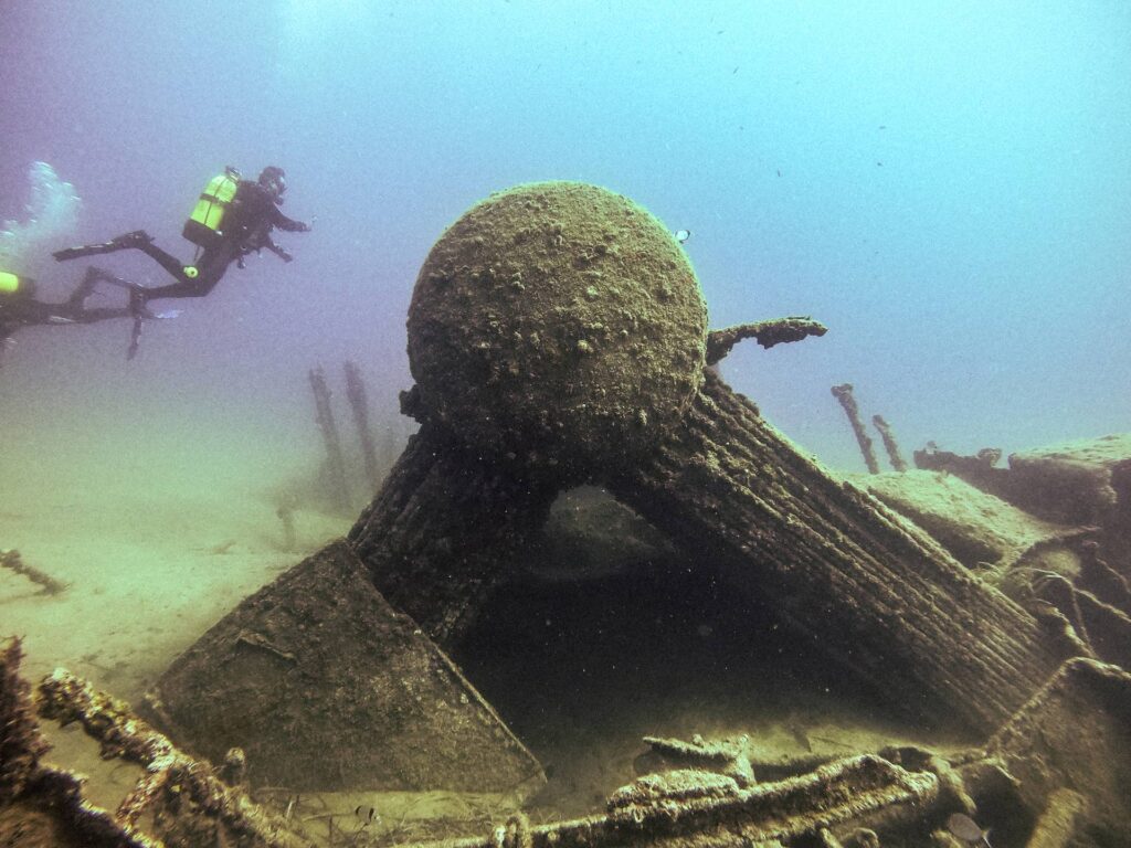 HML Louis Grounded during Gallipoli after a towing accident, now a thriving dive site rich in marine life.