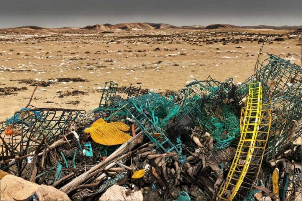 Marine Debris Program