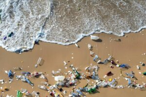 Riverine Plastic and Ocean Plastic What the Data Really Shows