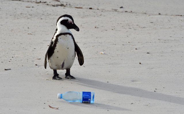 plastic all over the world