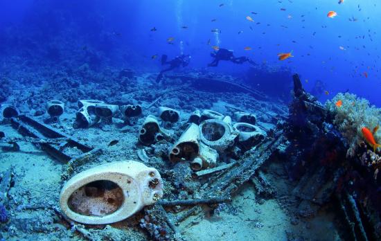shark and yolanda reef 02