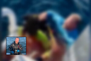 Diver Expected to Recover After Shark Bite During Pensacola Spearfishing Trip