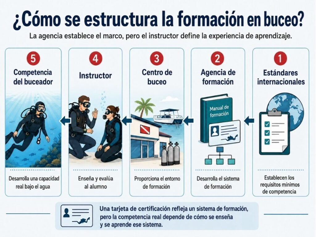 como se estructura la formacion en buceo infographic
