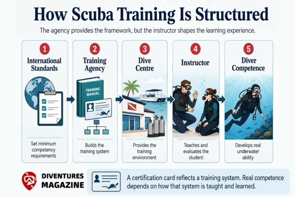 how scuba training is structured inforgraphic