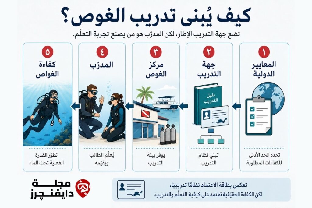 كيف يبنى تدريب الغوص انفوجرافيك